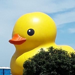 Meet your Posher, Margie